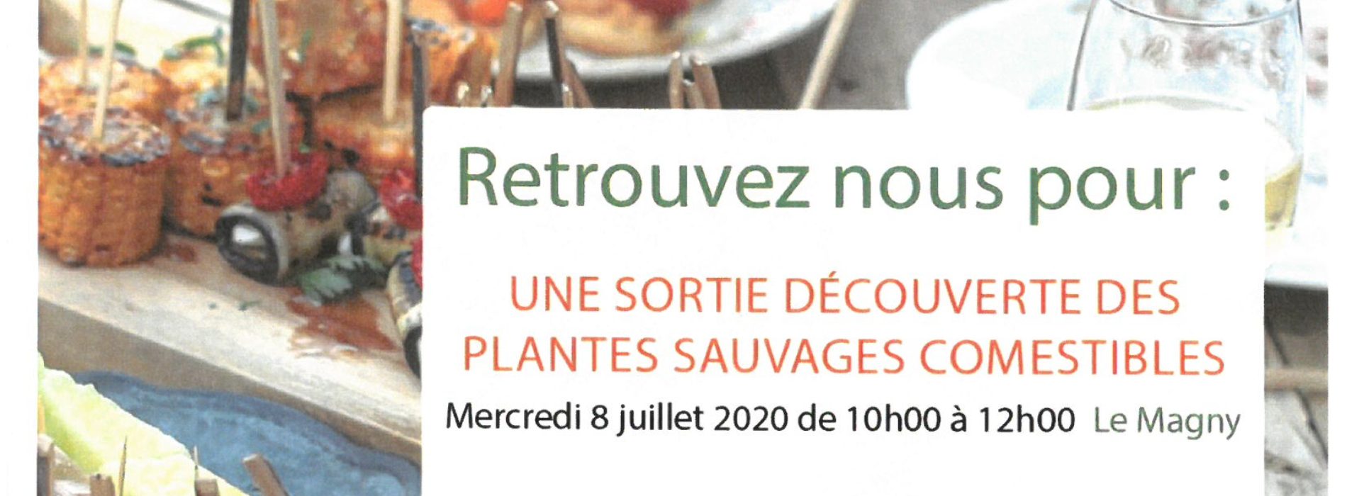 MANGEONS MIEUX ! Défi Familles à Alimentation Positive Pays de La Châtre en Berry Juillet 2020